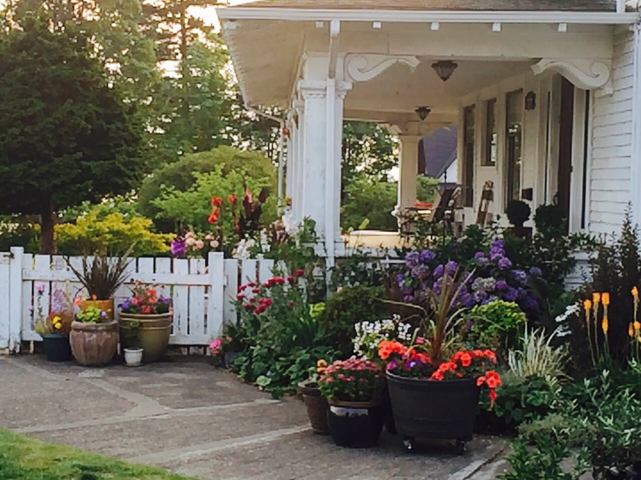 Studio Apt In Classic 1910 Charm Apartments For Rent In Everett