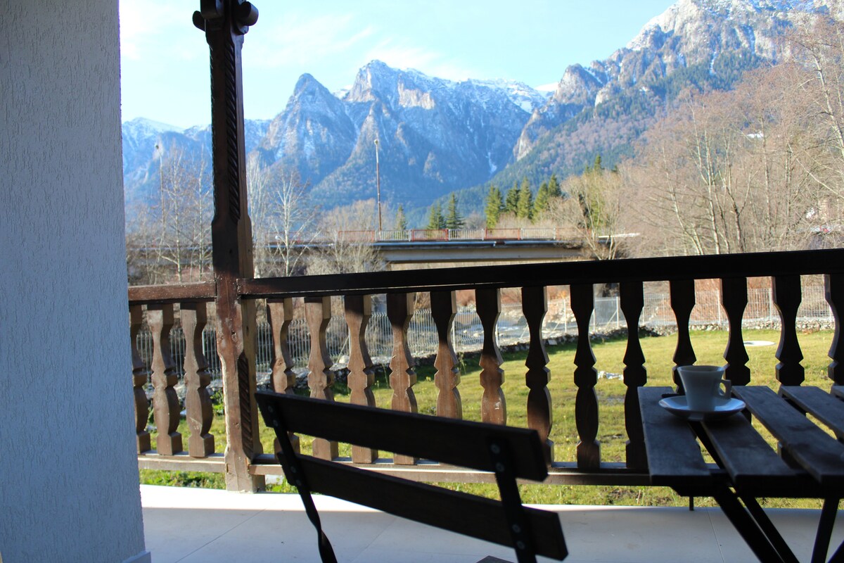 A balcony view reveals the majestic Carpathian mountains, framed by a wooden railing. A small table with a cup rests on the balcony, complemented by a single chair. Clear skies brighten the landscape, and lush greenery is visible below.