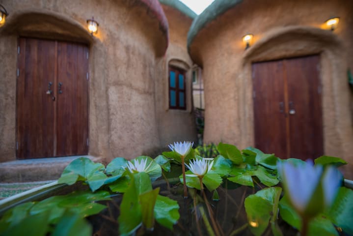 Leafy Greens Chiangmai : Mushroom M5