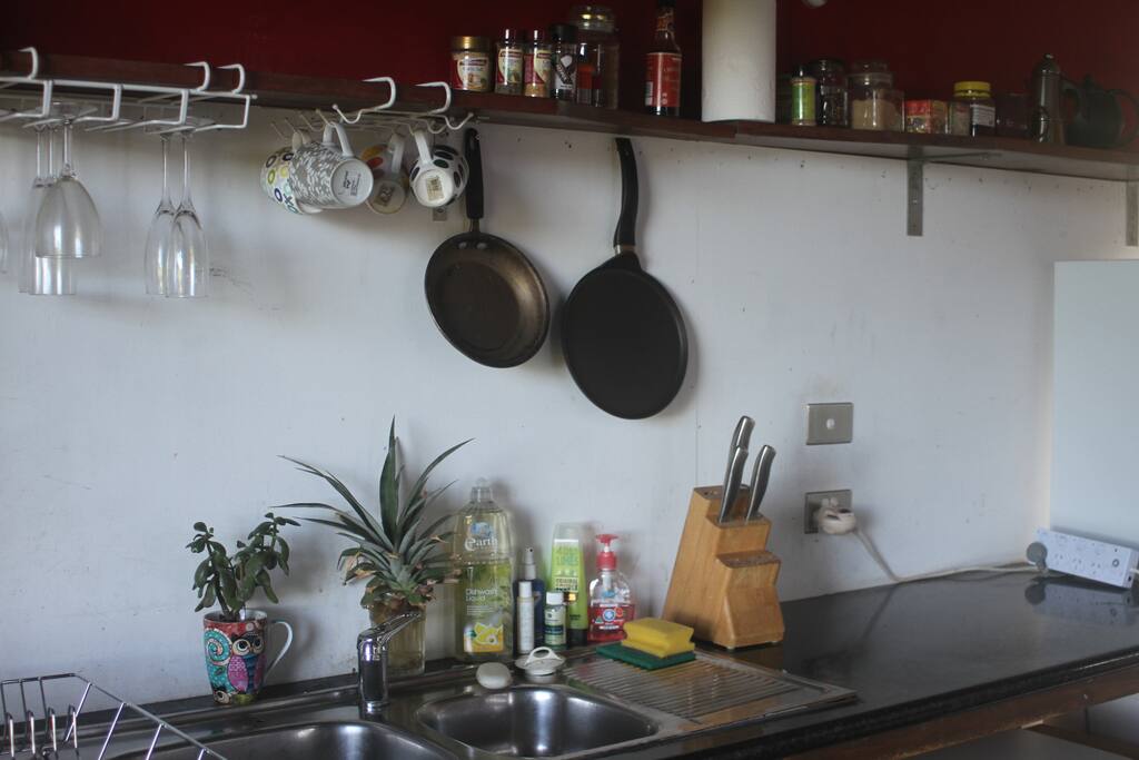 Kitchenette with fridge, kettle, toaster, small electric cook top and stove.