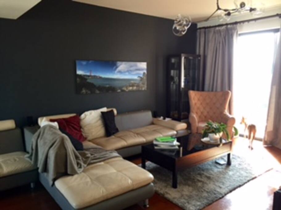 Living room with lots of light and projector.