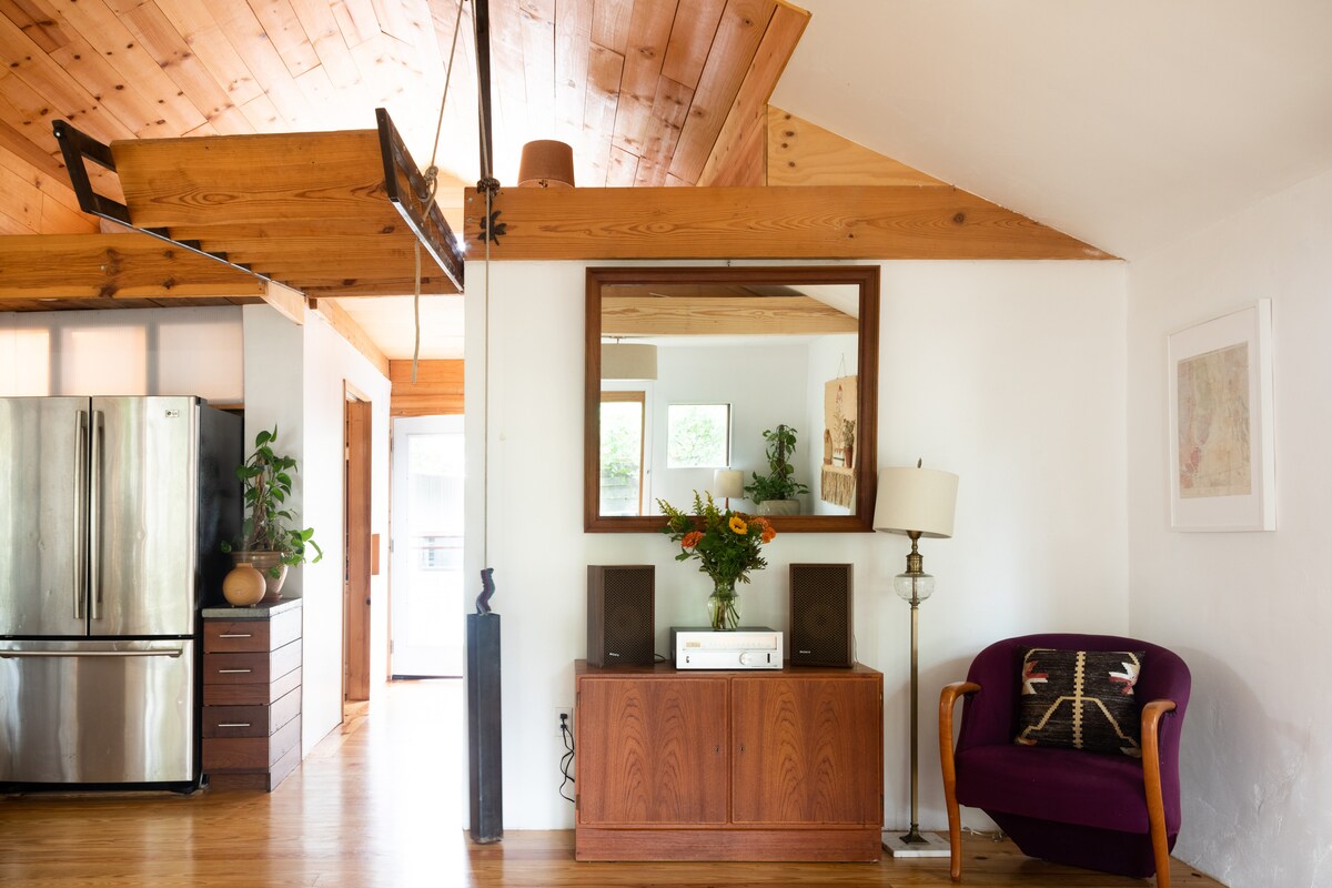 Extraordinary East Austin Retreat with Sauna and Cold Plunge