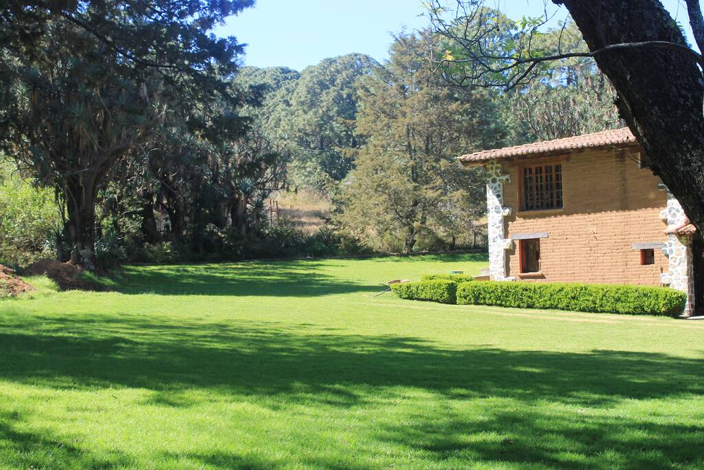 Áreas verdes alrededor de la casa / Green areas around the house