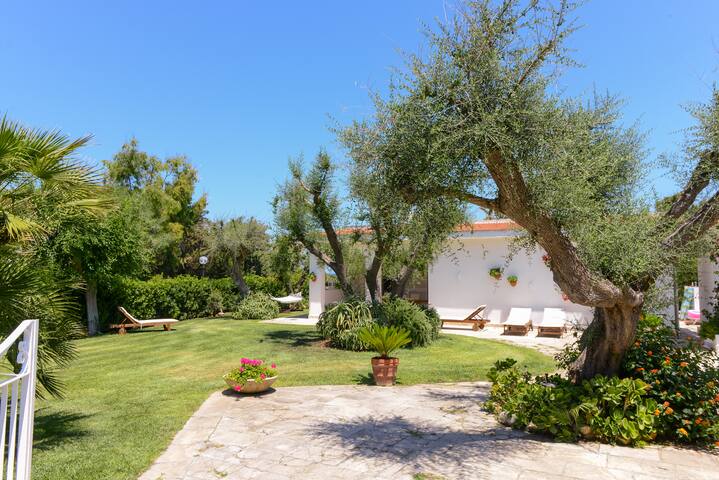 VILLA SUL MARE ROSA MARINA❤️ gallery image 2