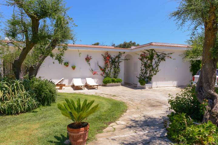 VILLA SUL MARE ROSA MARINA❤️ gallery image 3