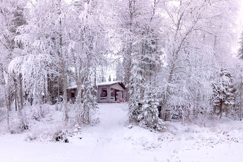 A traditional Lappish cabin in the wilderness