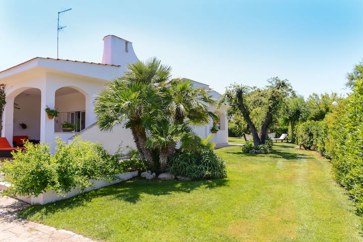 VILLA SUL MARE ROSA MARINA❤️