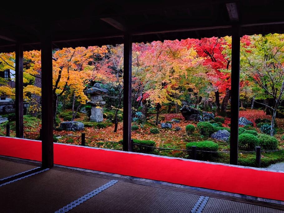 圆光寺里的红叶狩 十牛之庭的禅宗心路 京都旅游攻略 尽在airbnb爱彼迎