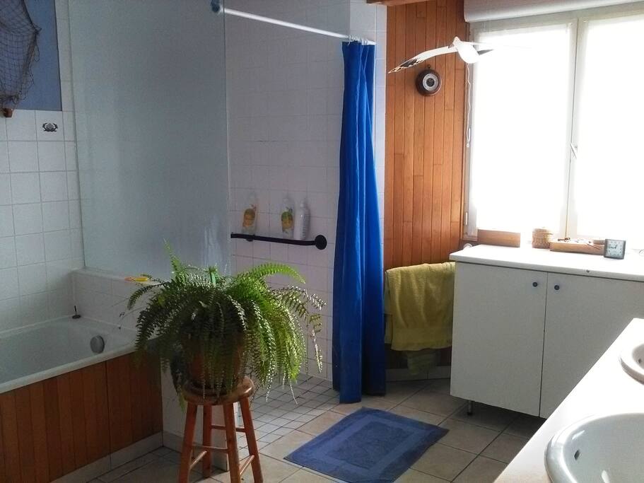 grand salle de bain accessible