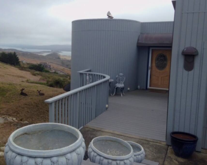 Entrance to home with wild deer visiting