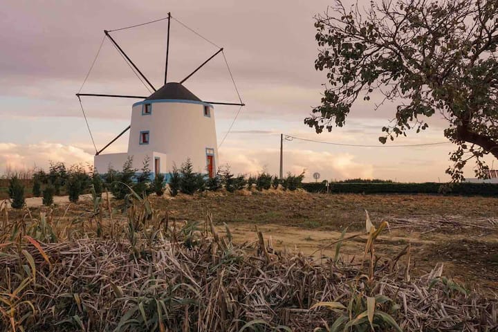 Molinos de viento  Una de las más de 50 Categorías Airbnb