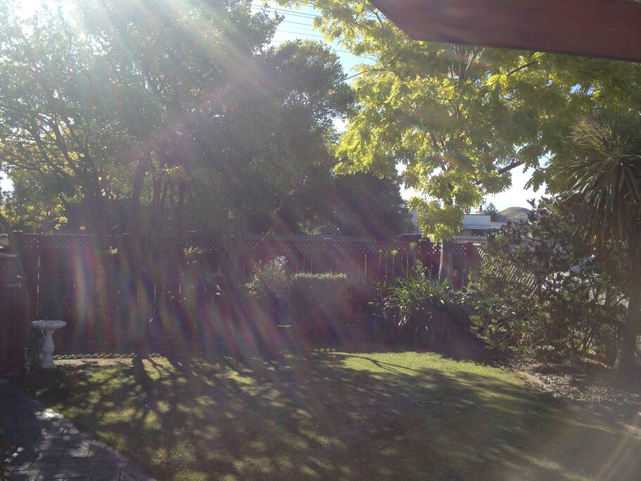 Fenced and gated front Yard