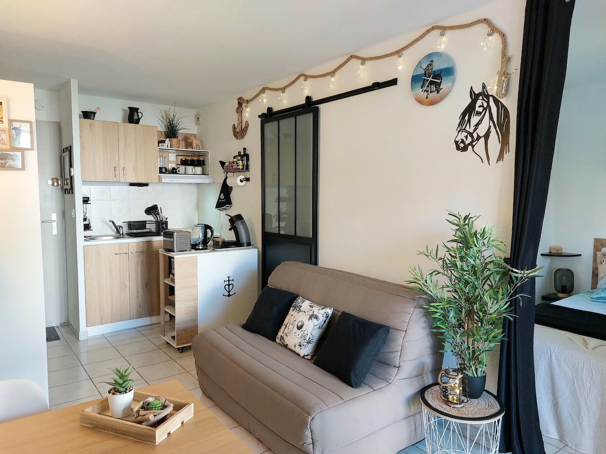 Airbnb con migliori performance: 3-star apartment Beach 100 m Terrace Parking Wifi a Palavas Les Flots