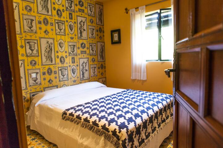 Habitación 6