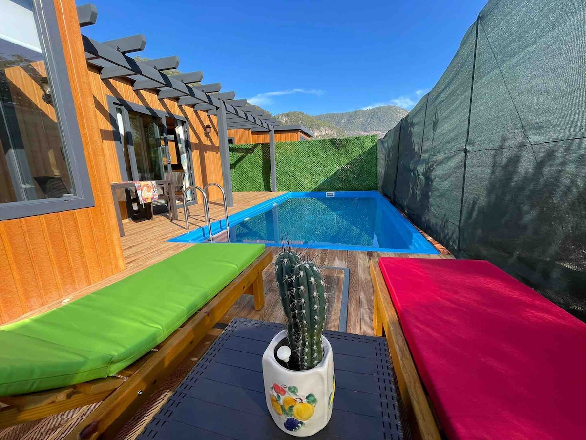 A swimming pool is framed by wooden decking, with lounge chairs in vibrant green and red positioned nearby. A potted cactus is placed on a low table, adding a touch of greenery to the outdoor space. Lush foliage and a protective screen provide privacy.