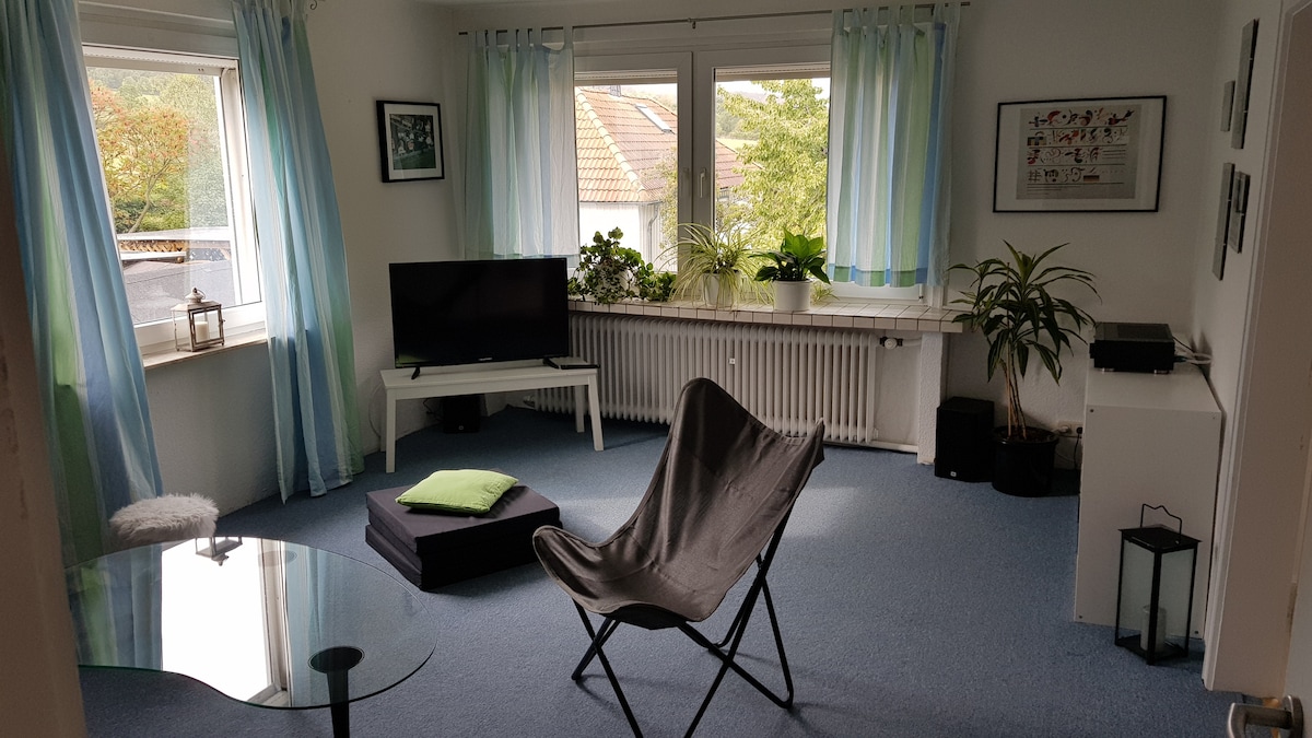Popular Airbnb listing: Vacation home Am Schloßpark in Bad Harzburg