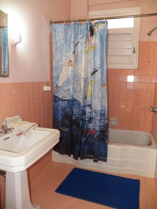 Baño privado, uso exclusivo huéspedes