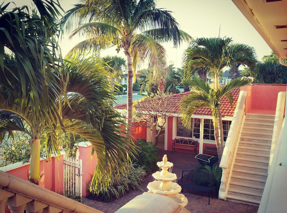 Lush palms create tropical atmosphere