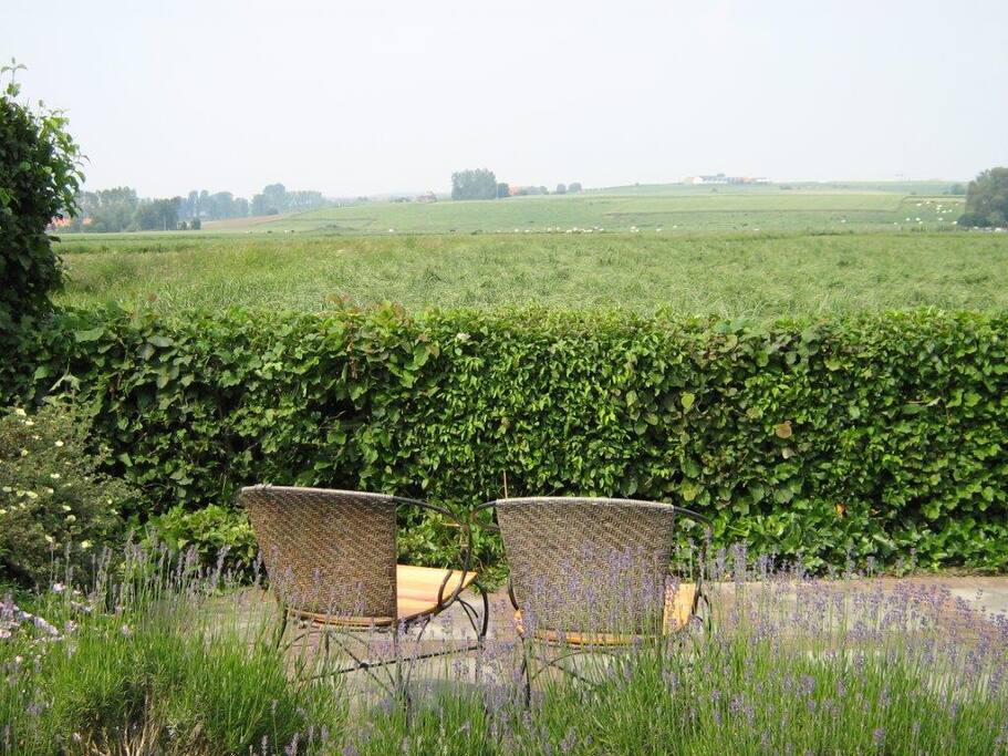 tuin