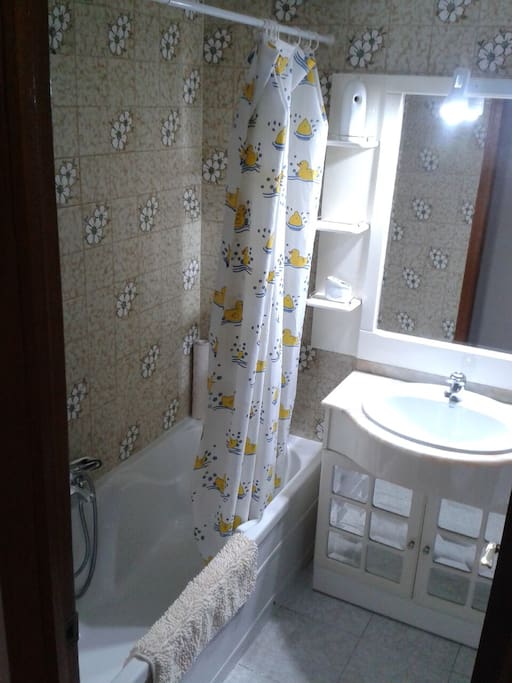 En este baño el único elemento común a todos es la ducha, el resto de elementos como el lavamanos el W.C el bidé y armarios son de uso privado para el huesped.