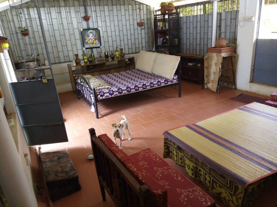 30 x 14 feet room with attached toilet and light sheet roof.