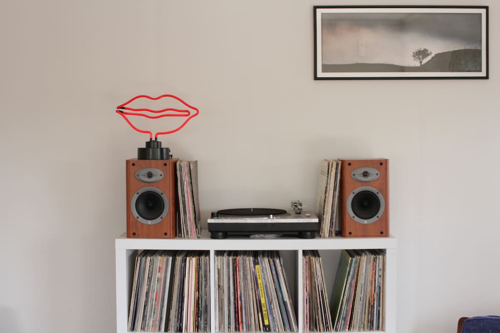 Our turntable/record shelf.