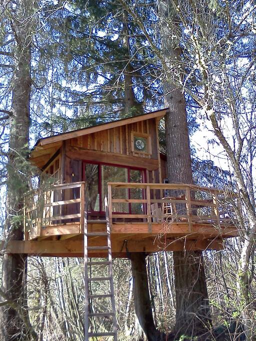 Treehouse in winter