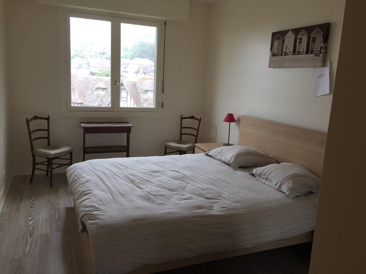 一间卧室配有双人床和一间大更衣室。海景。 