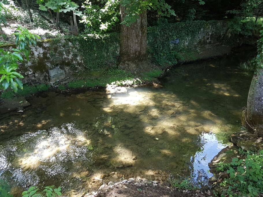La rivière au fond du jardin