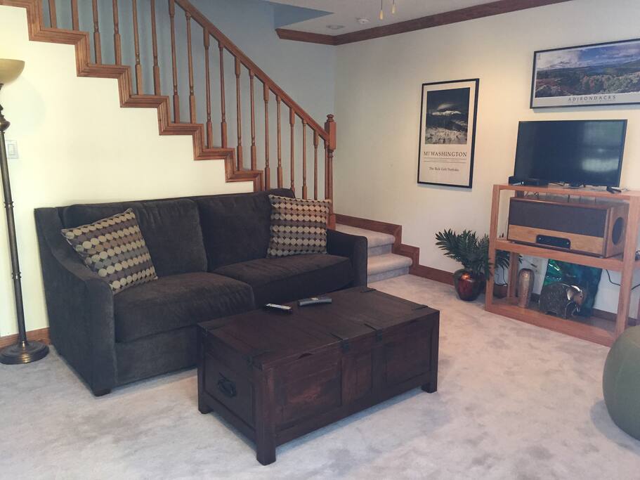Living Area w/sleeper sofa