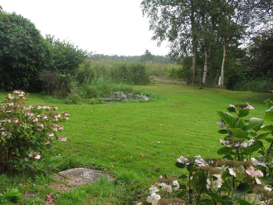 de tuin met uitzicht over de rietlanden