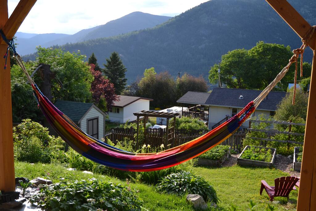 Sunny views from the hammock
