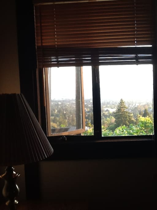 View from the room