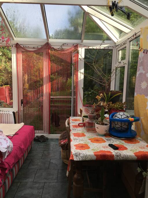 Conservatory and garden