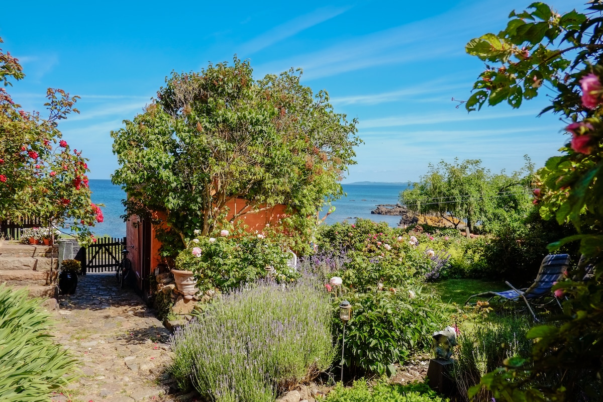 A well-maintained garden is featured with blooming flowers and greenery leading towards the sea. A path made of stones winds through the plants, while a glimpse of ocean waves can be seen in the background under a clear blue sky.