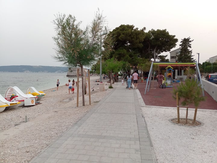 Four Roses Near The Sea - Arbanija
