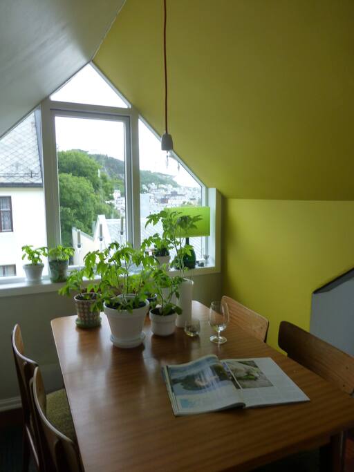 Dining table with view