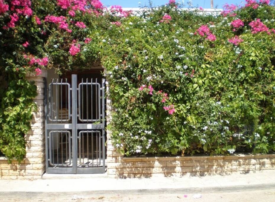 Ingresso