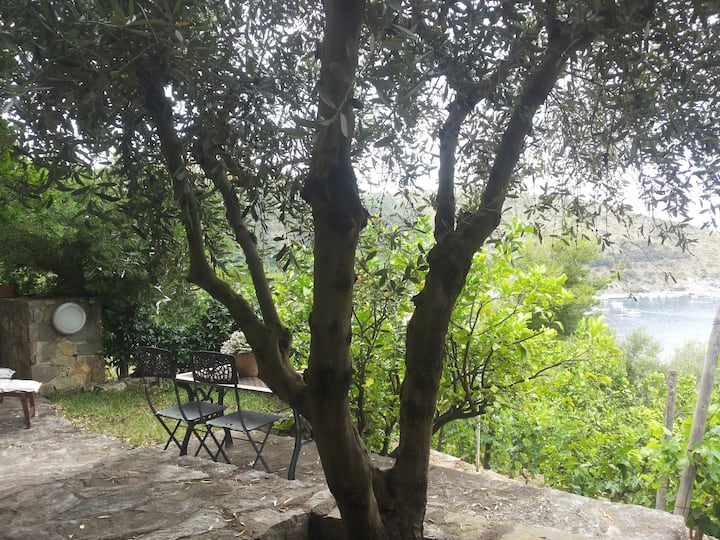 Villa Belvedere - il Cappero