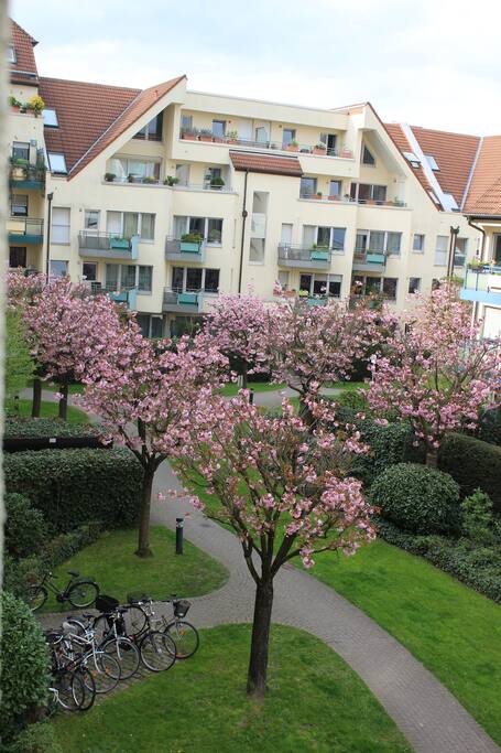 Schöne Neubausiedlung