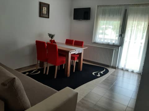 Top performing Airbnb: Paradise Apartment with 2 balcony in Ličko Senjska županija