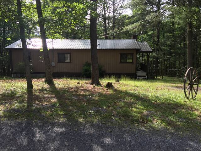 Cabin in the woods