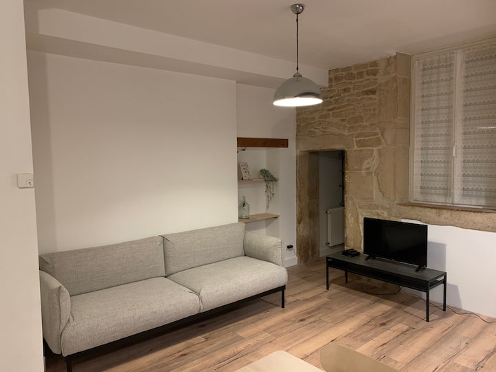 Charming Dijon quiet and city center Apartments for Rent in Dijon, Bourgogne