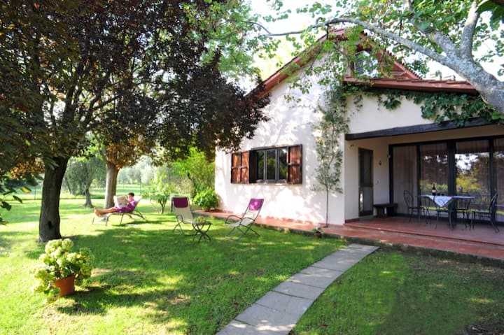 I Sicomori - Two-room Apartment In Saturnia - Saturnia