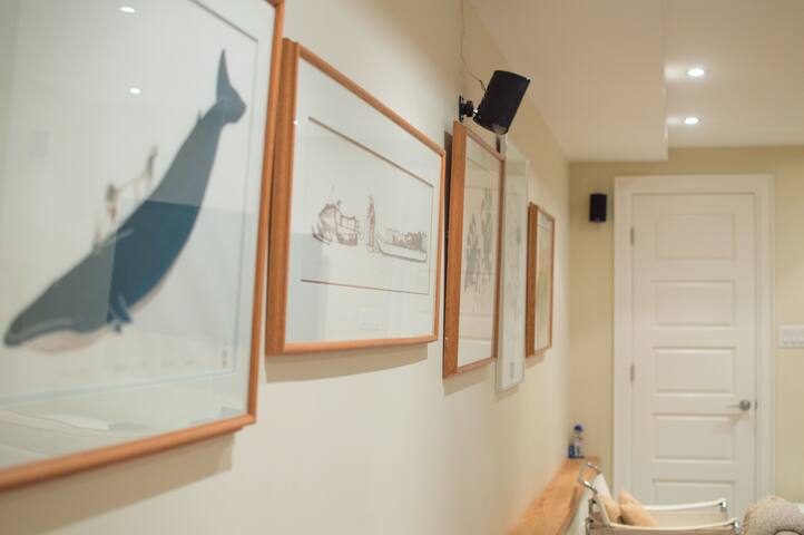 Spacious Lower Level Apartment Houses For Rent In Toronto