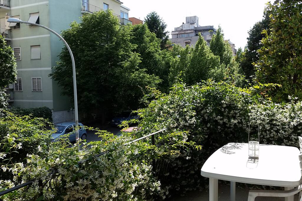 Terrace