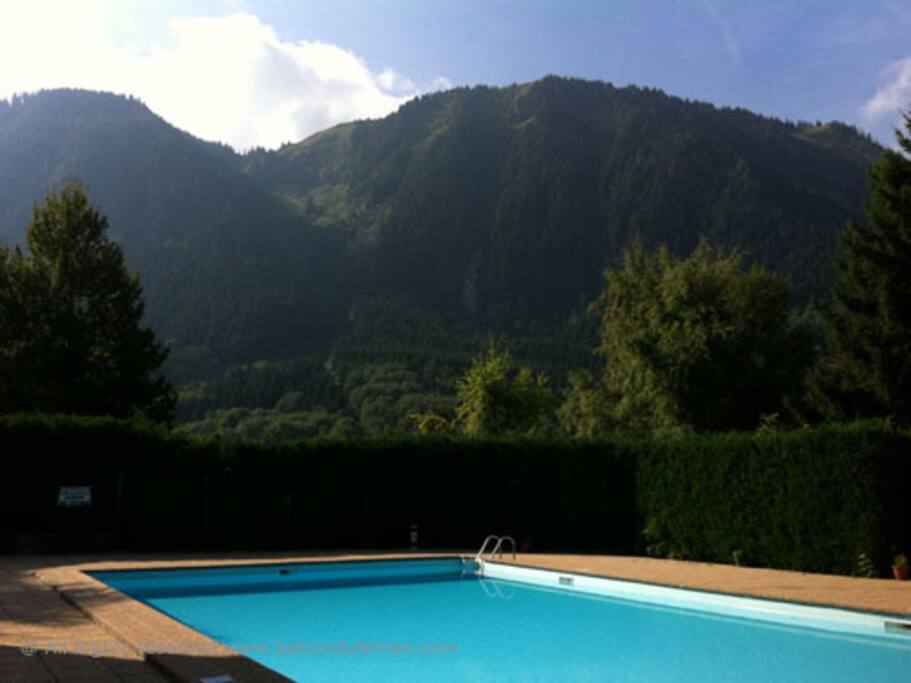 Swimmingpool, open in July and August