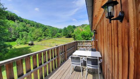 Spacious accommodation with a terrace in Alsace
