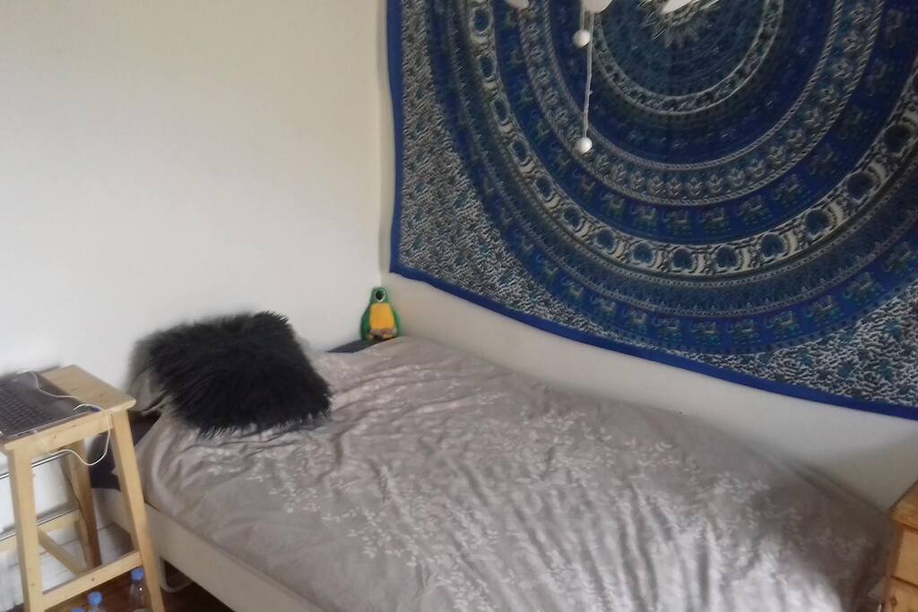 Peter the parrot in the corner likes to have company :D