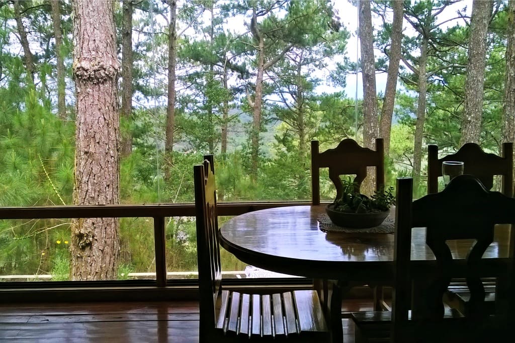 Bringing the outdoors into the dining space